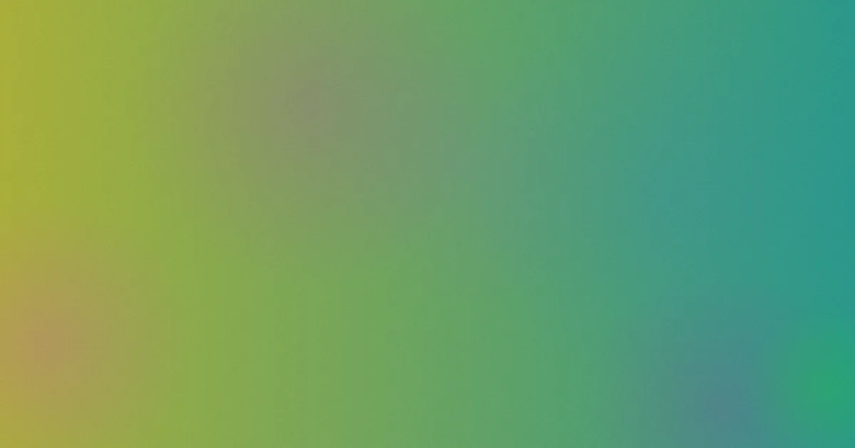北川景子攻略：同类对比